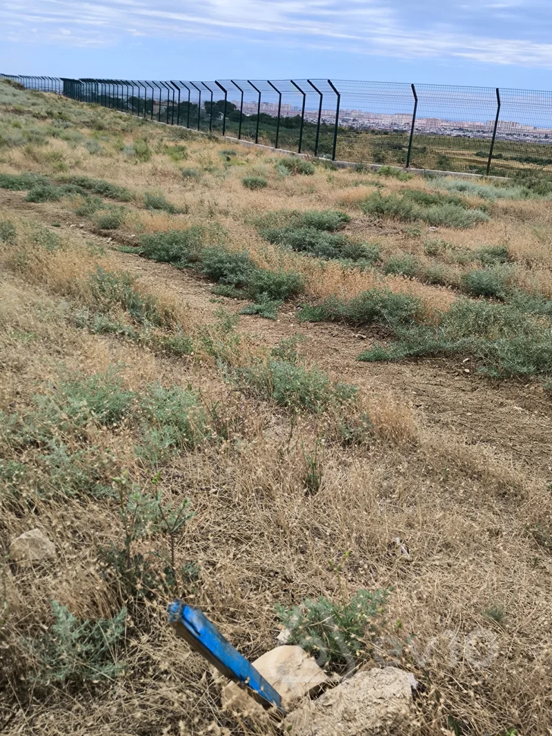 Torpaq sahəsi, 3 sot, 32 ci sahə — Torpaq, Bakı (4)