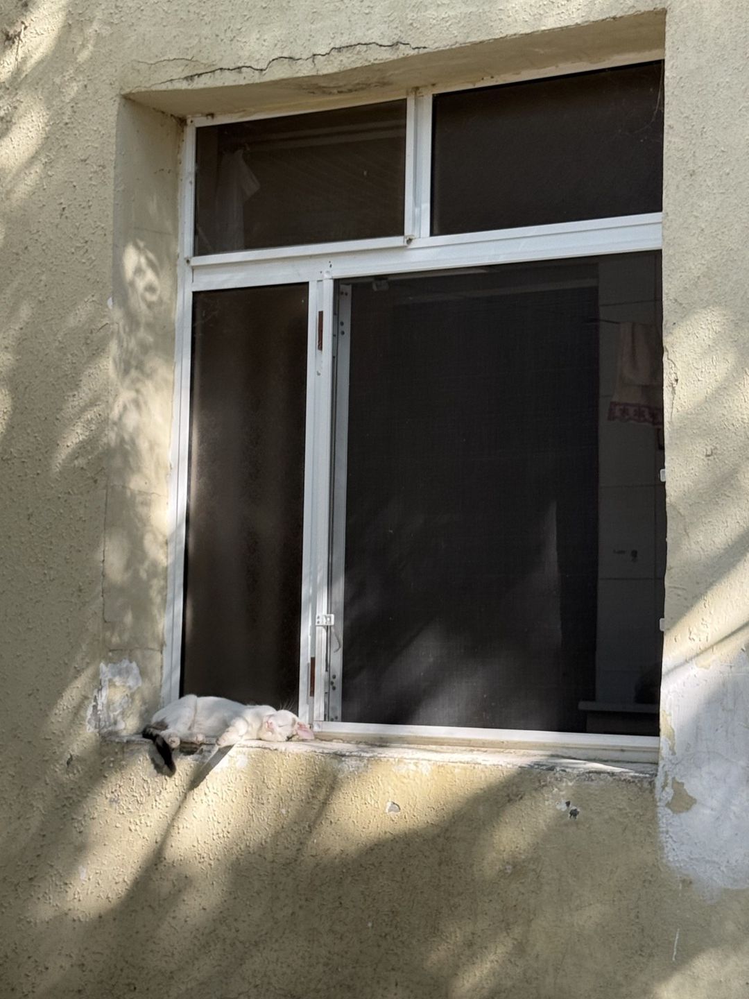 Satılır 2 otaqlı köhnə tikili 70 m² — Mənzil, Şirvan (7)