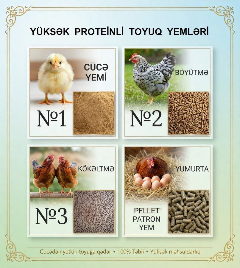 Yüksək proteinli yem — Tibbi avadanlıqlar, Bakı (6)