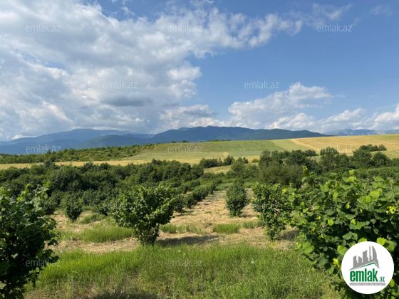 Satılır 1000 sot torpaq İsmayıllı — Torpaq (8)