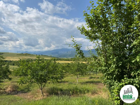 Satılır 1000 sot torpaq İsmayıllı — Torpaq (6)