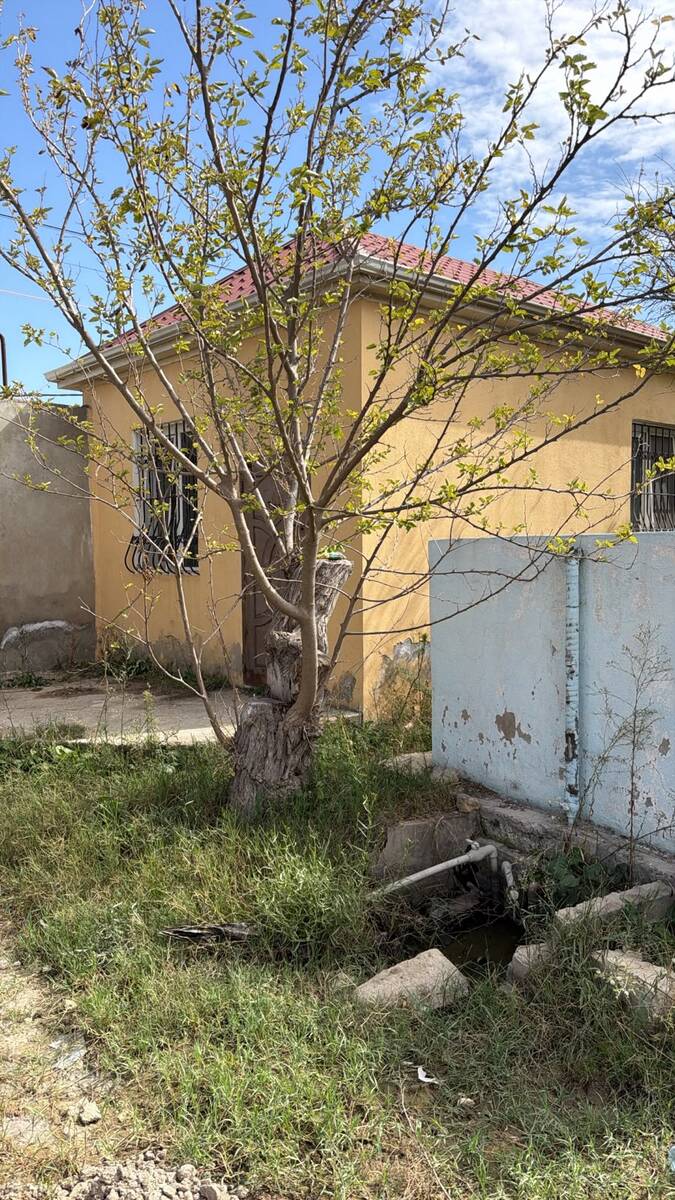 Satılır 1 otaqlı həyət evi/bağ evi 40 m² — Ev, villa, Bakı (7)