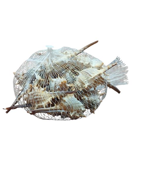 Akvariuma dekor — Bakı