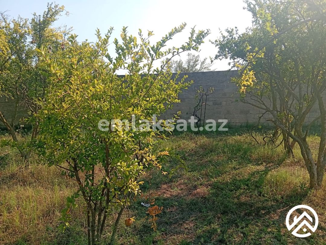 Satılır torpaq 21sot, Pirşağı — Torpaq, Bakı (8)