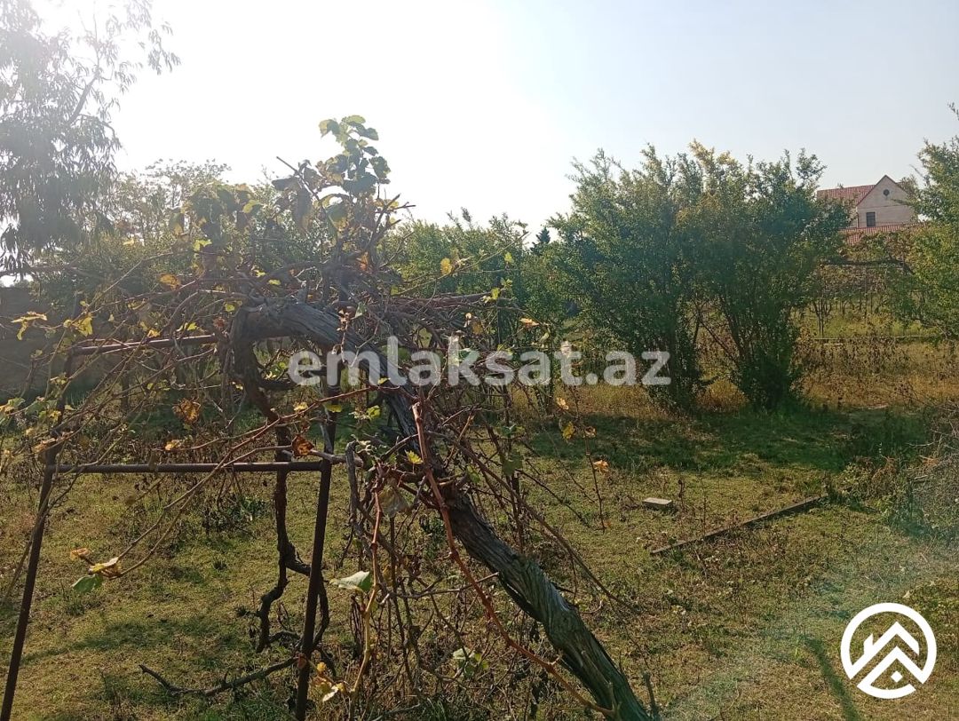 Satılır torpaq 21sot, Pirşağı — Torpaq, Bakı (7)