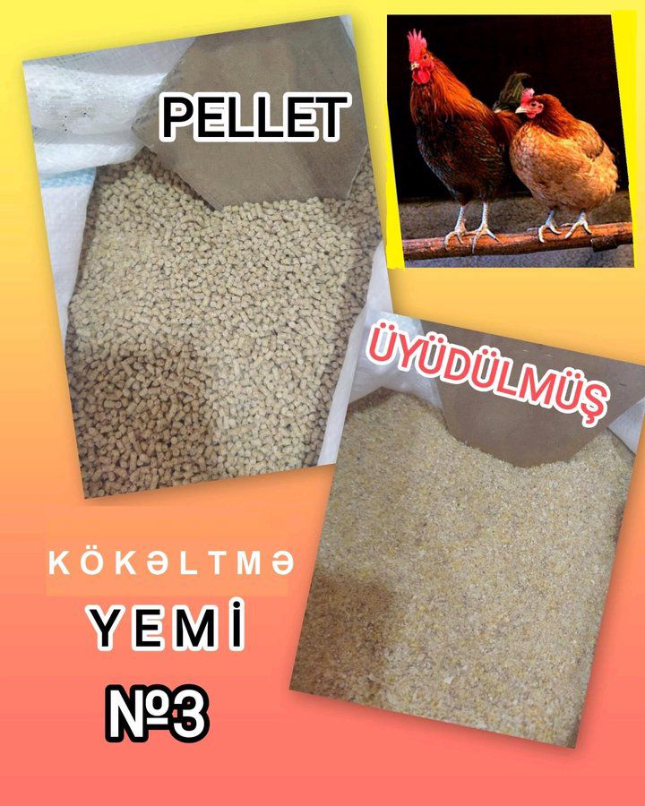 Yüksək proteinli yem — Tibbi avadanlıqlar, Bakı (3)