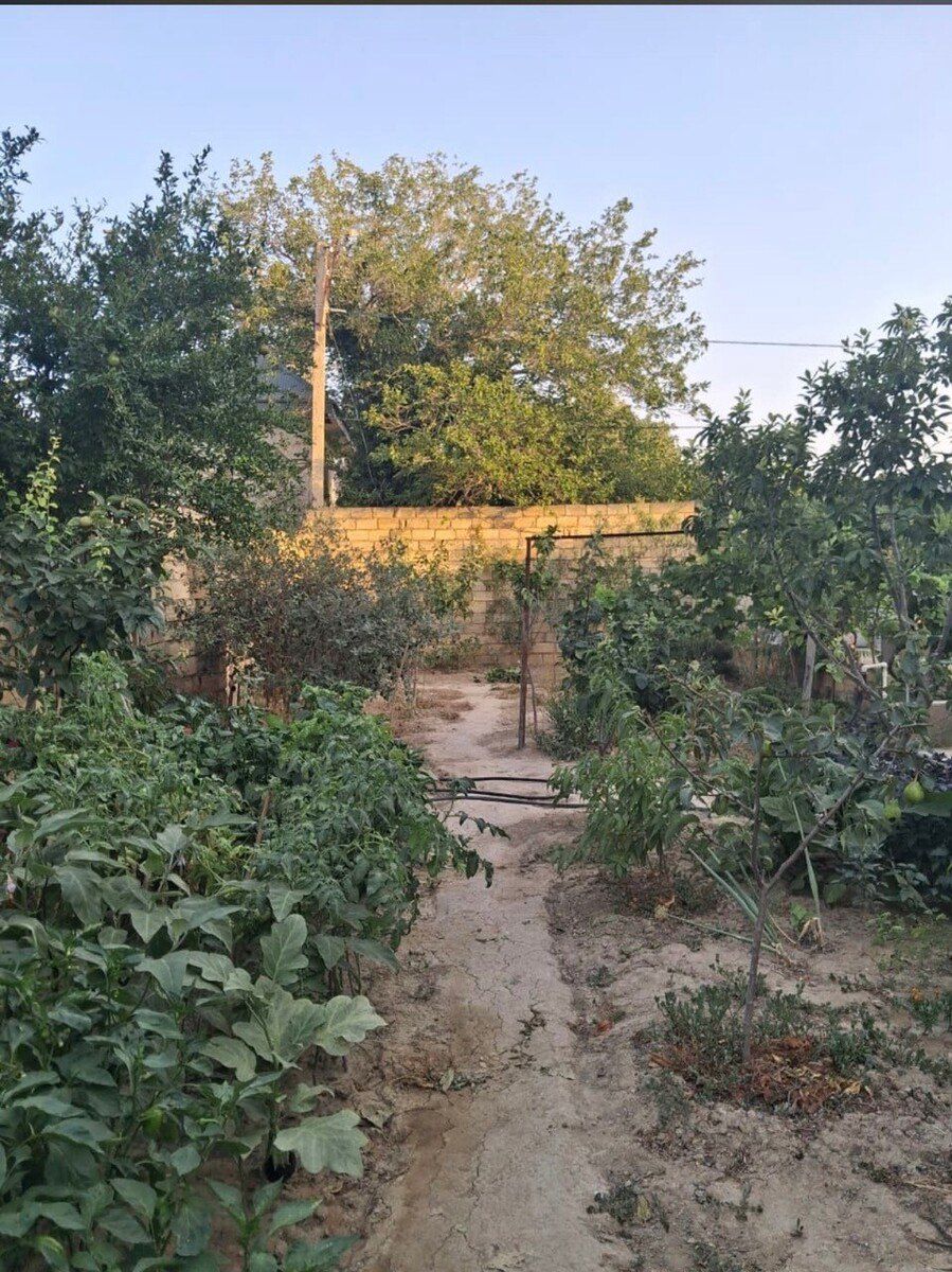 Satılır 6 otaqlı həyət evi/bağ evi 110 m² — Ev, villa, Bakı (8)