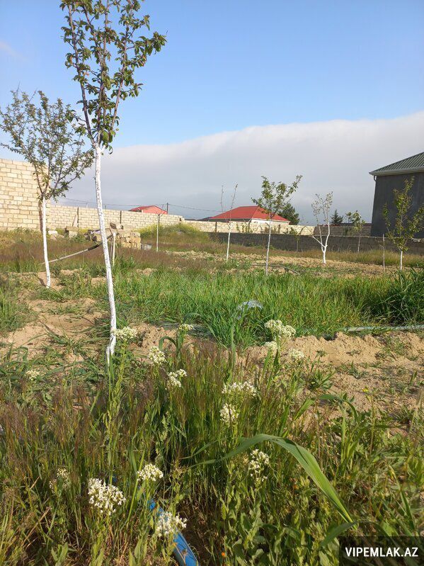Sabunçu rayonunda 1 otaqlı Torpaq Satılır, 10 sot — Torpaq, Bakı (4)