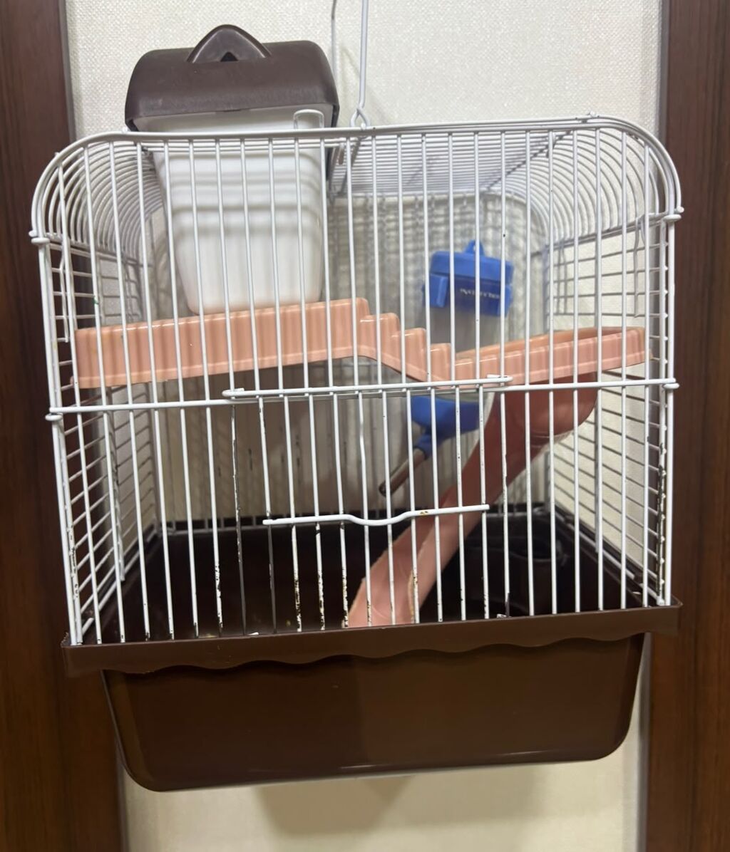 Hamster və ya kiçik gəmiricilər üçün tam dəst: - İki mərtəbəli qəfəs — Qəfəslər, Bakı (2)