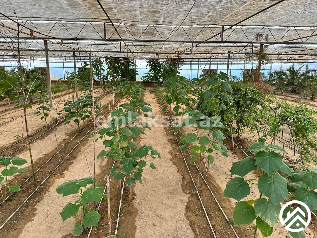 Satılır obyekt 1500 m², Türkan — Əmlak, Bakı (9)