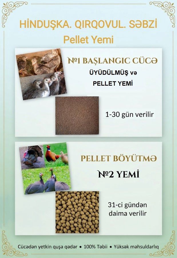 Yüksək proteinli yem — Tibbi avadanlıqlar, Bakı (8)