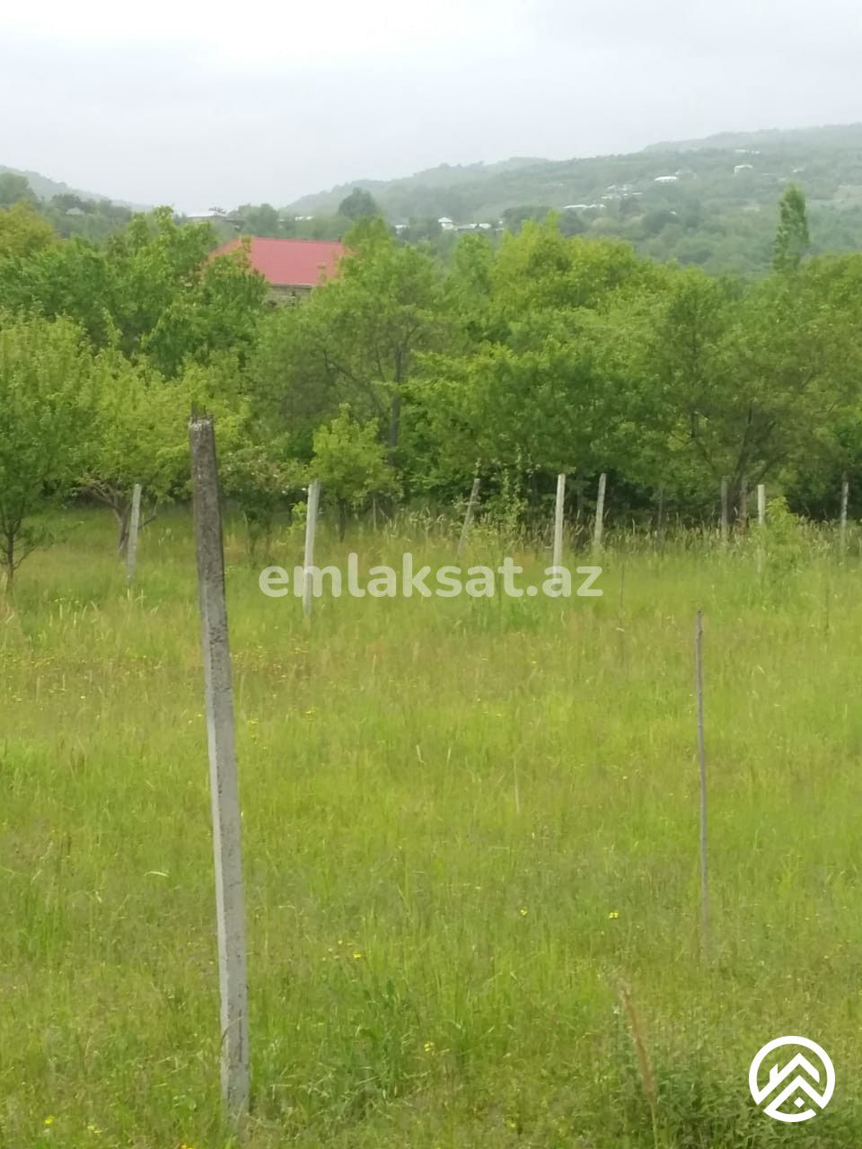 Satılır torpaq 50sot, İsmayıllı — Torpaq, İsmayıllı (3)