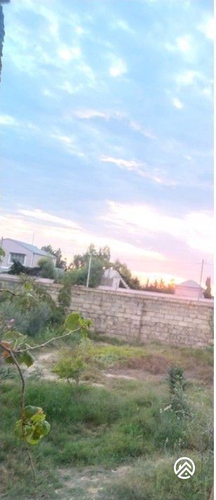 Satılır torpaq 6sot, Zirə — Torpaq, Bakı (2)