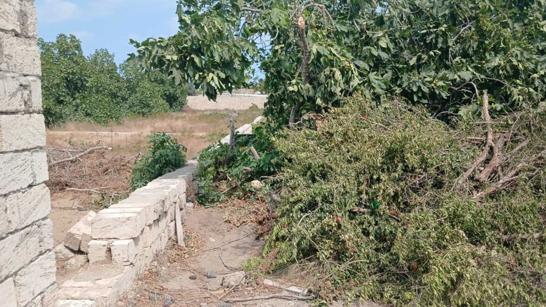 Satılır torpaq 10 sot — Torpaq, Bakı (2)