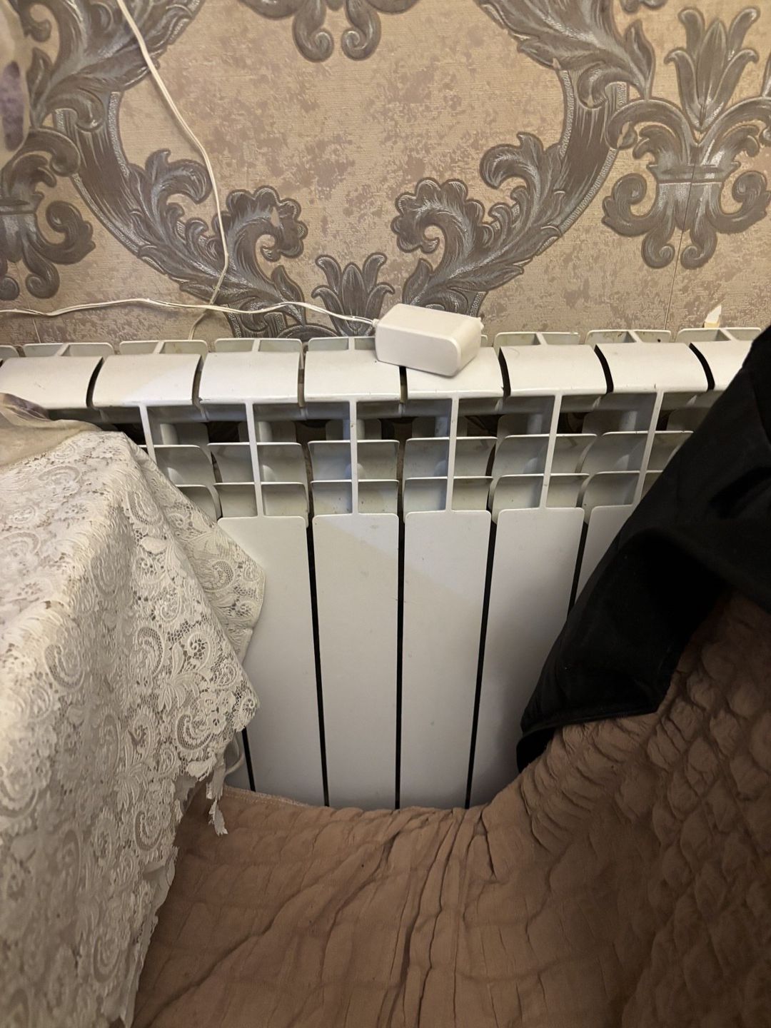 İcarəyə verilir 2 otaqlı həyət evi/bağ evi 40 m² — Ev, villa, Bakı (4)