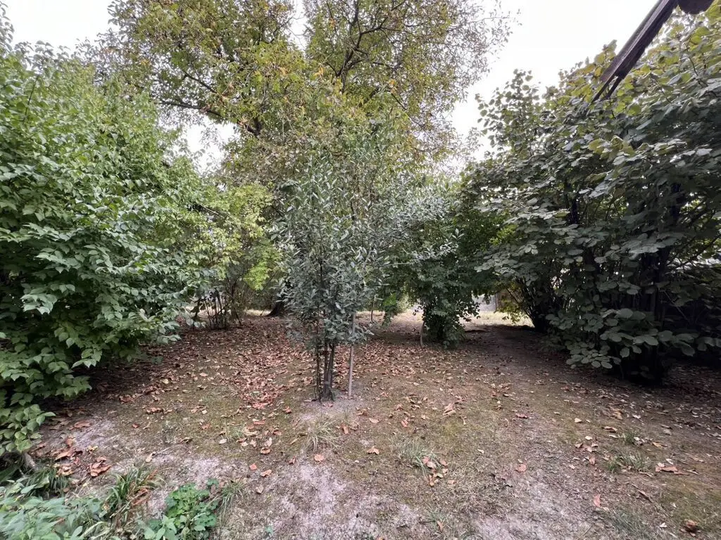 8 sot Torpaq Satılır, Şəki — Torpaq, Şəki (3)