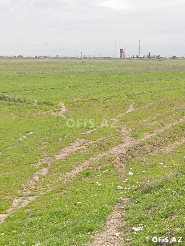 Torpaq Satılır Hacıqabul, Xususi mulkiyyet pay torpagi, 1428 sot — Torpaq, Hacıqabul (4)