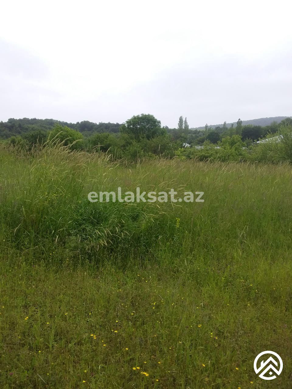 Satılır torpaq 50sot, İsmayıllı — Torpaq, İsmayıllı (2)