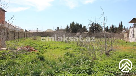 Satılır torpaq 40sot, Albalılıq — Bakı