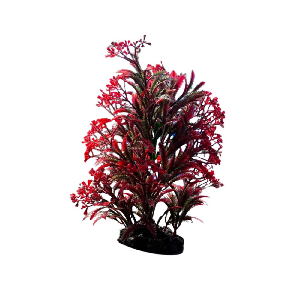 Akvarium üçün dekor 87745380 — Mallar, Bakı
