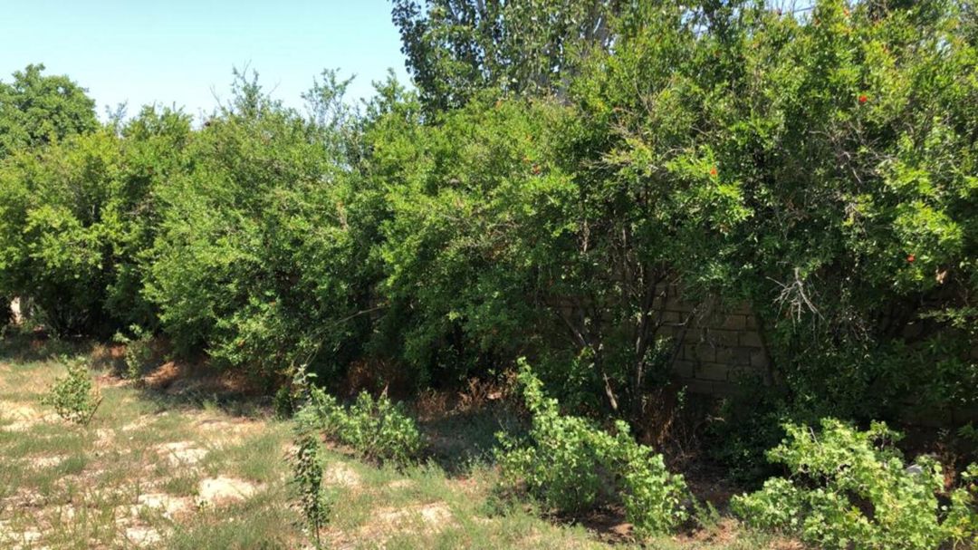 Satılır 5 otaqlı həyət evi/bağ evi 220 m² — Ev, villa, Bakı (6)