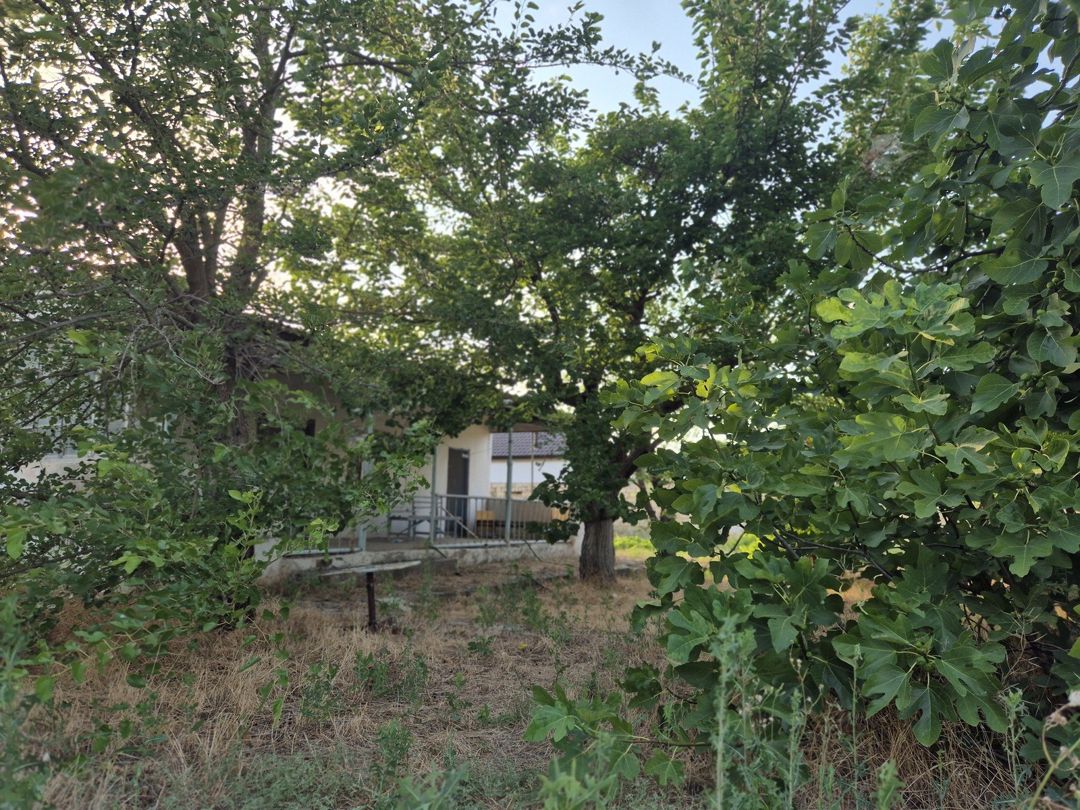 Satılır torpaq 8 sot — Torpaq, Bakı (5)