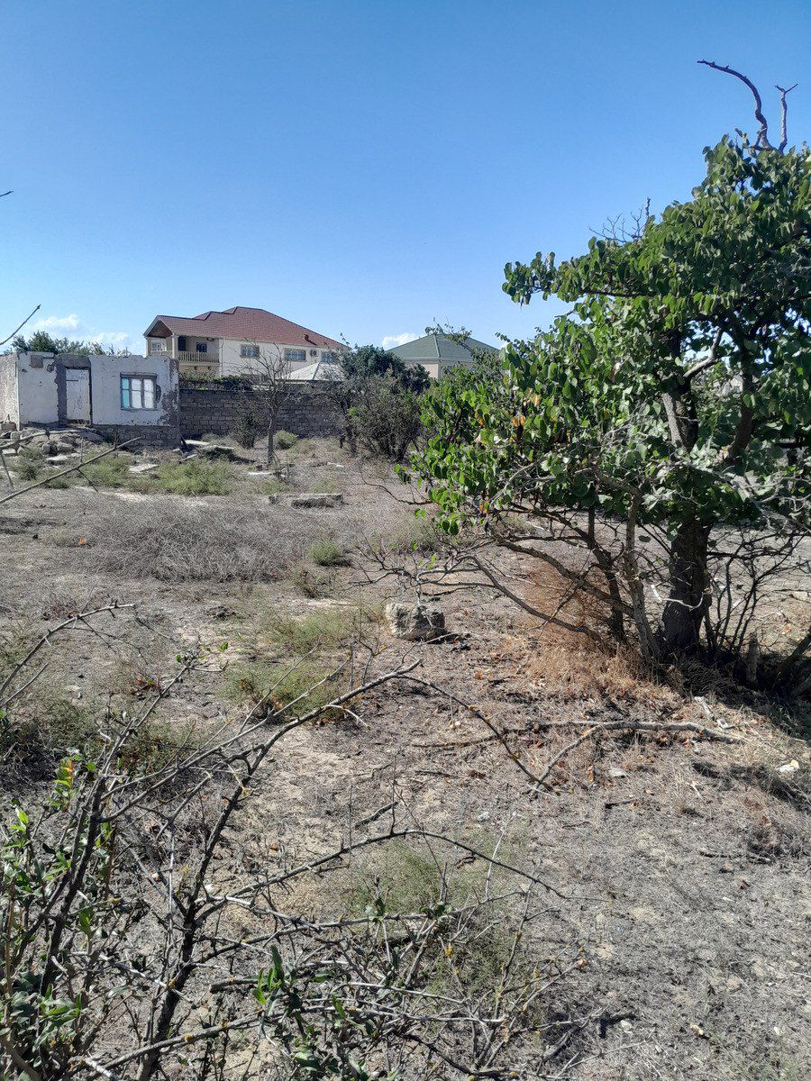Satılır torpaq 6 sot — Torpaq, Bakı (4)