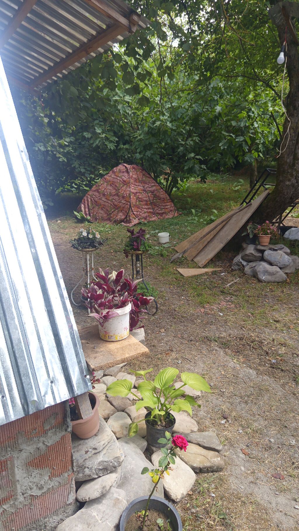 Qəbələ, 15 kv. m, 1 otaqlı — Ev, villa, Qəbələ (5)