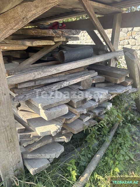 Taxta Çinar — Zaqatala