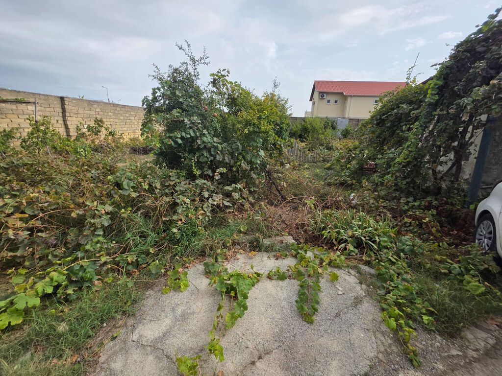 Buzovna qes Visnovkada 3 otaq bag evi kiraye verilir Aileye ve — Ev, villa, Bakı (7)