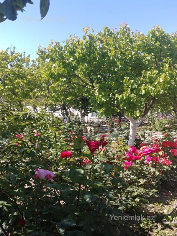 Satılır 8 otaqlı Həyət evi / Villa, 631 m², Xətai rayonu — Ev, villa, Bakı (9)