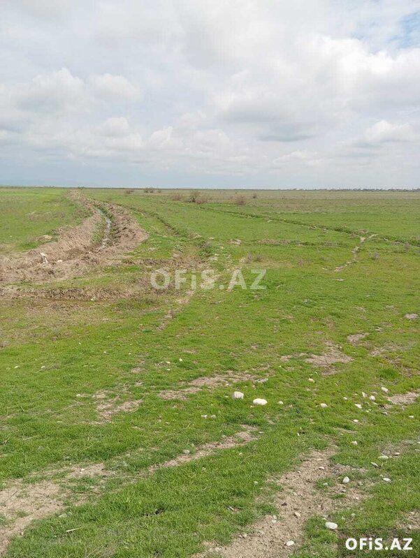 Torpaq Satılır Hacıqabul, Xususi mulkiyyet pay torpagi, 1428 sot — Torpaq, Hacıqabul (3)
