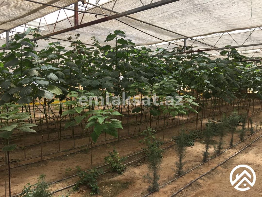 Satılır obyekt 1500 m², Türkan — Əmlak, Bakı (4)