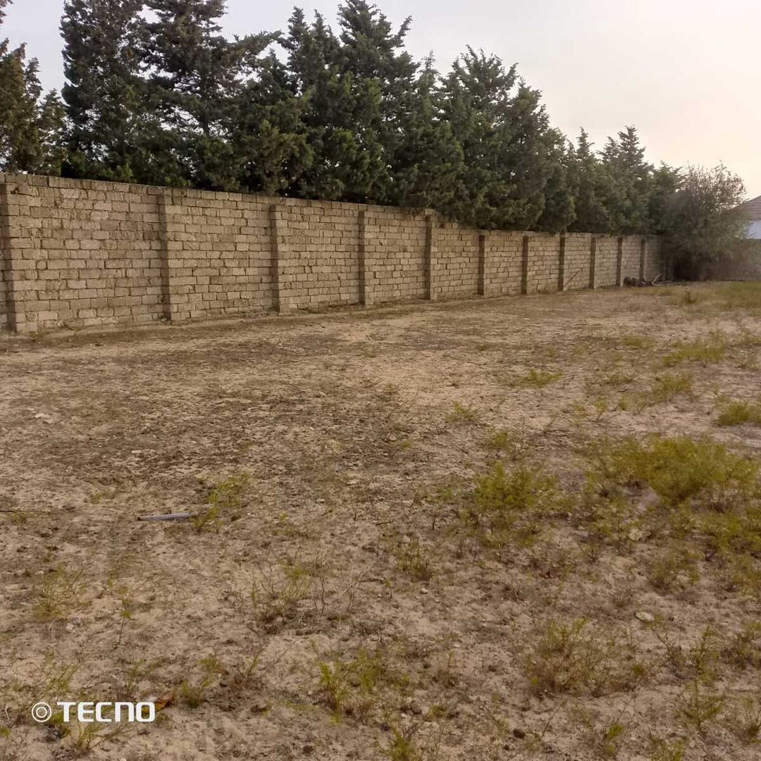 Satılır torpaq 24 sot — Torpaq, Bakı (5)