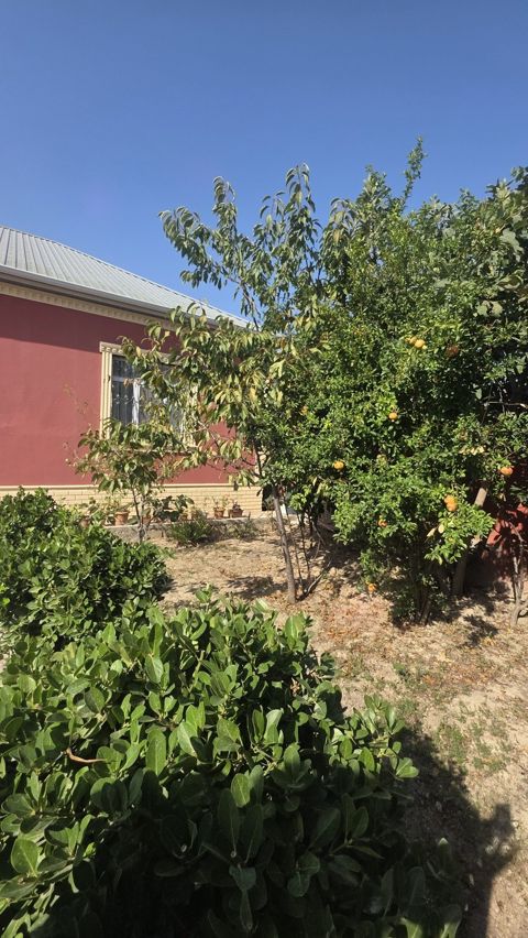 Satılır 3 otaqlı həyət evi/bağ evi 130 m² — Bakı