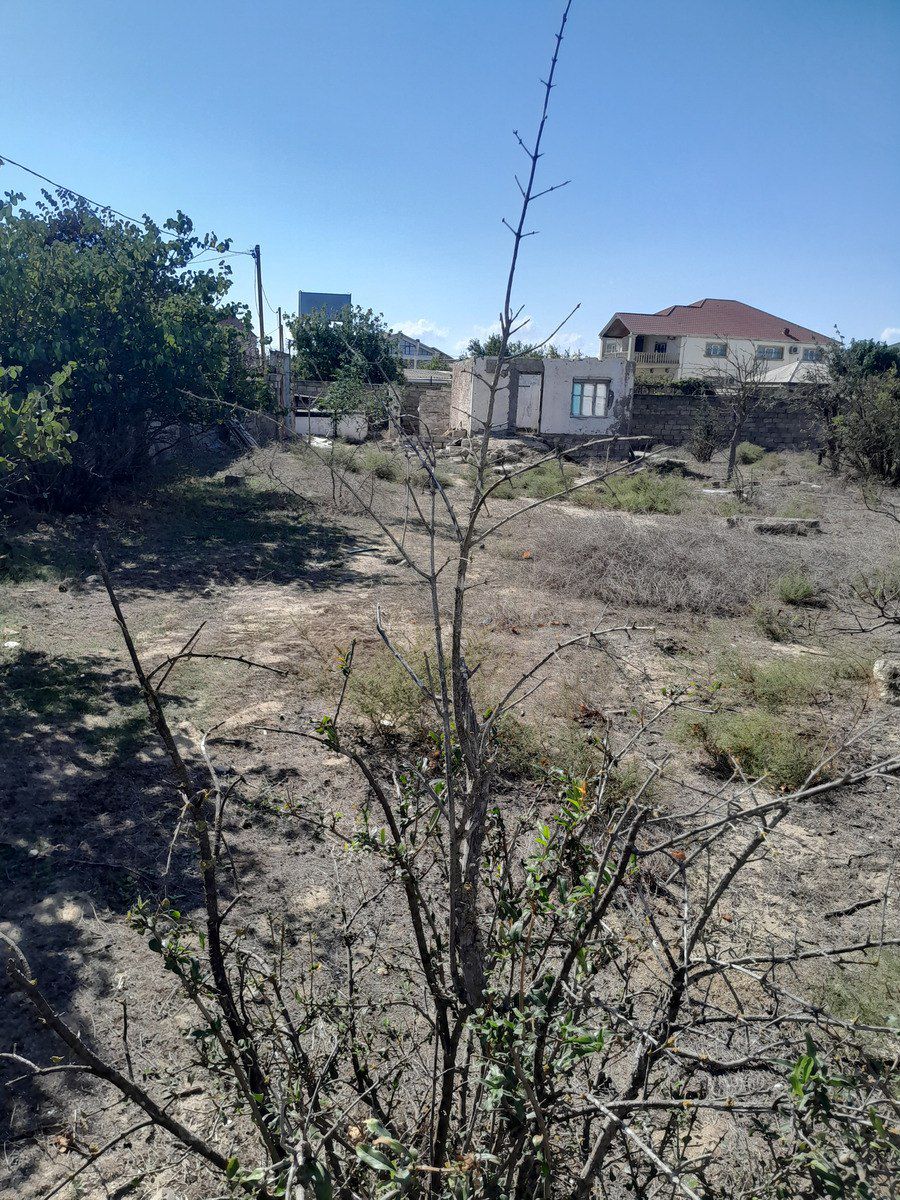 Satılır torpaq 6 sot — Torpaq, Bakı (3)