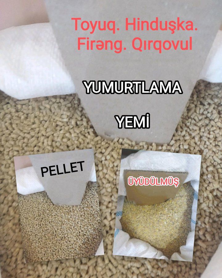 Yüksək proteinli yem — Tibbi avadanlıqlar, Bakı (5)