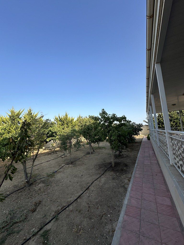 Satılır torpaq 12 sot — Torpaq, Bakı (6)