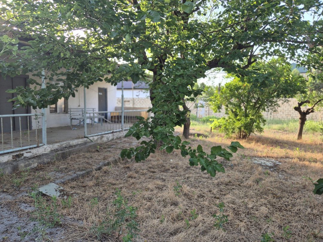 Satılır torpaq 8 sot — Torpaq, Bakı (3)