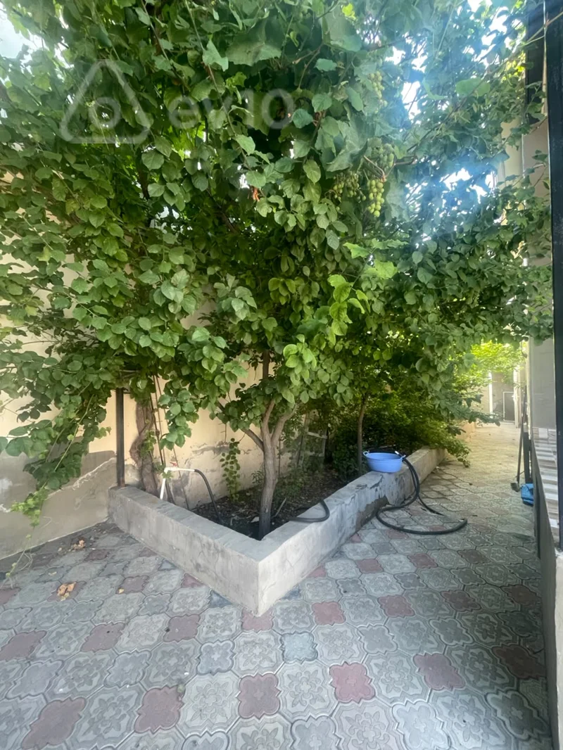 3 otaqlı həyət evi, 130 m², Novxanı — Bakı