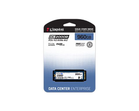 Kingston 960GB DC2000B SSD M.2 NVMe SEDC2000BM8/960G — Bakı
