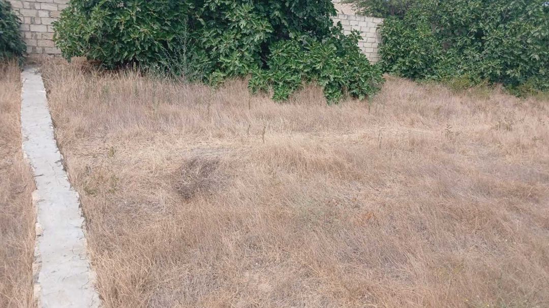 Satılır torpaq 10 sot — Torpaq, Bakı (7)