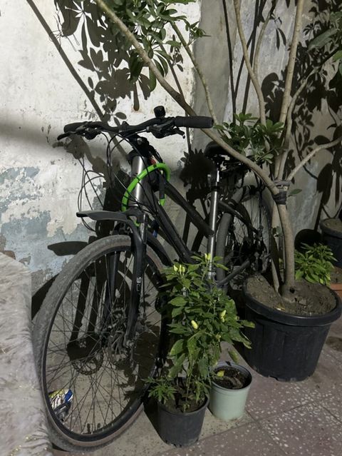 Şəhər tipli velosiped - Yüngül və möhkəm alüminium gövdə - Düz sükan — Bakı