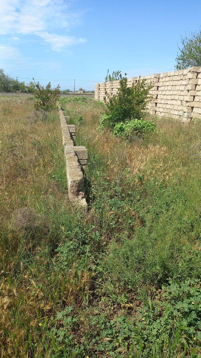 Satılır torpaq 12 sot — Torpaq, Bakı (3)