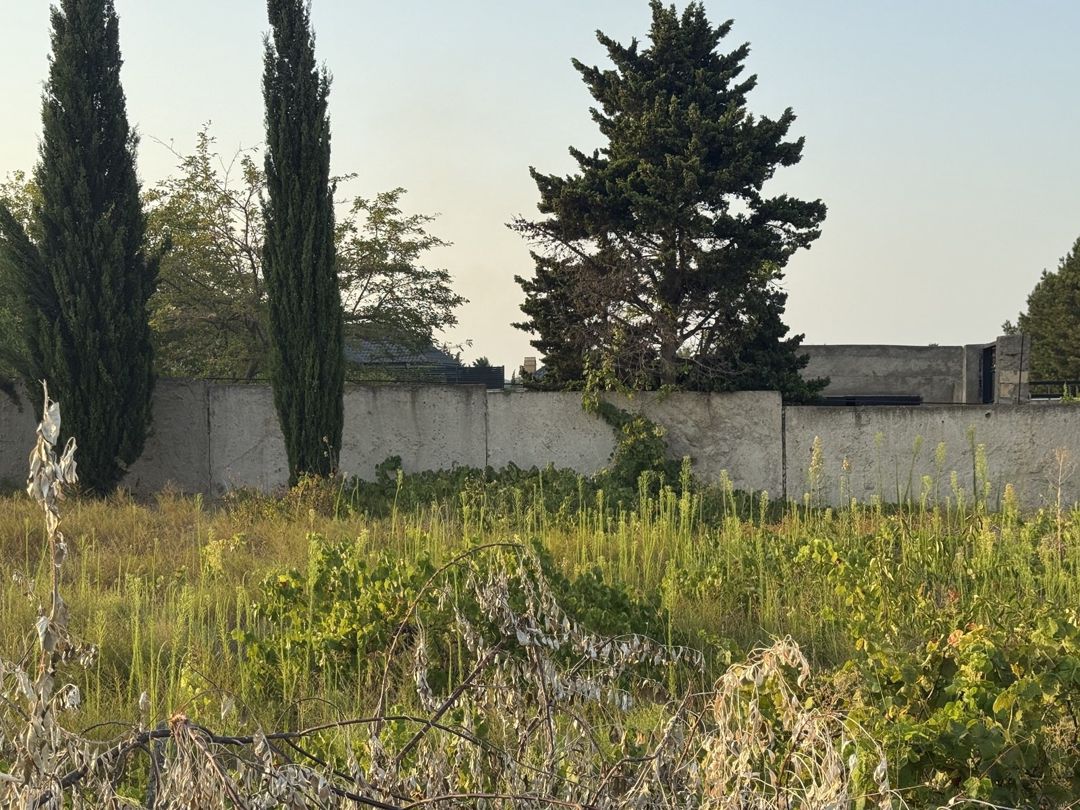Satılır torpaq 6 sot — Torpaq, Bakı (3)