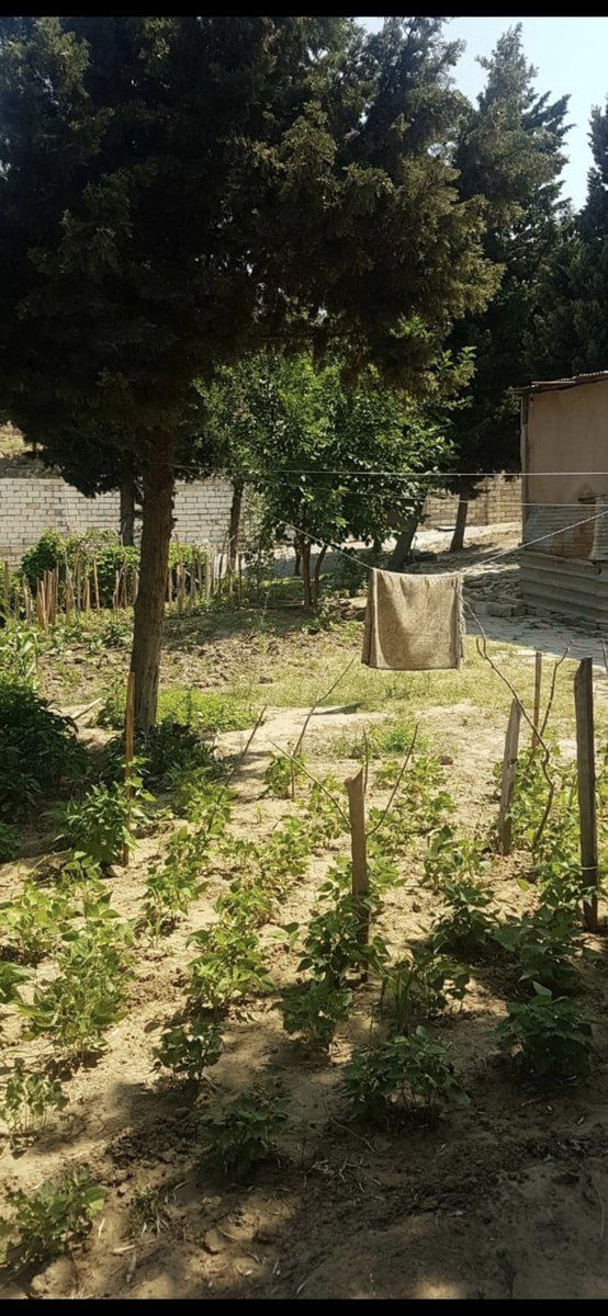 Satılır torpaq 9 sot — Torpaq, Bakı (5)
