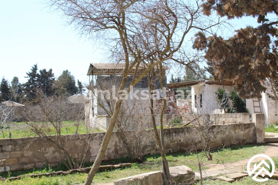 Satılır torpaq 40sot, Albalılıq — Torpaq, Bakı (8)