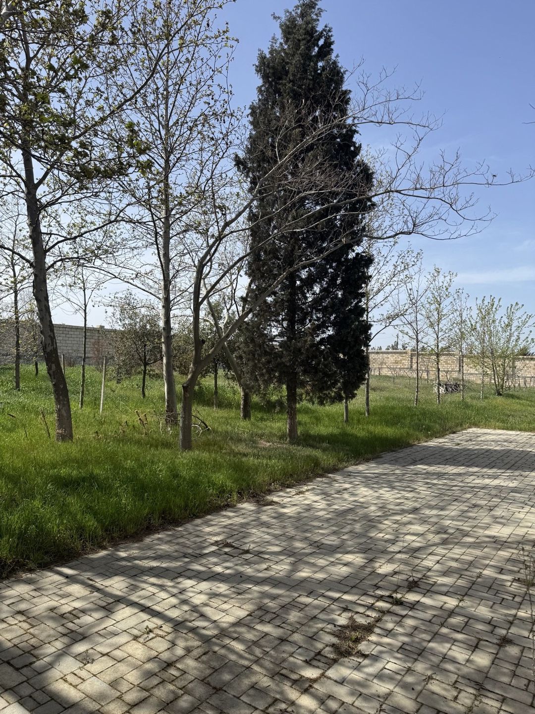 Satılır torpaq 19 sot — Torpaq, Bakı (7)