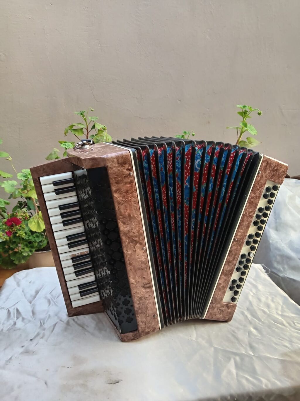 Akustik Akkordeon, İşlənmiş, Ödənişli çatdırılma — Akkordeonlar, harmonilar, bayanlar, Bakı (2)