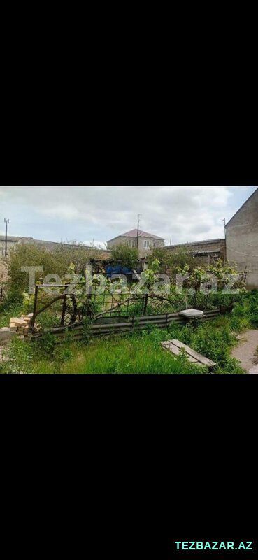 Torpağ 4 sot — Torpaq, Sumqayıt (2)